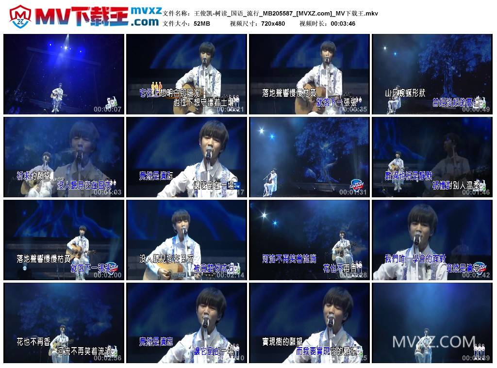 王俊凯-树读_国语_流行_MB205587